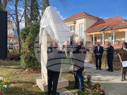 Вършец-Ботев-пометник-3