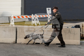 Immigration Federal Enforcement Chicago