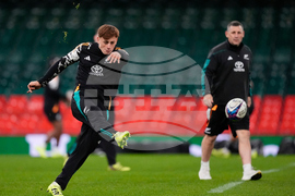 Britain New Zealand Rugby