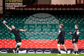 Britain New Zealand Rugby