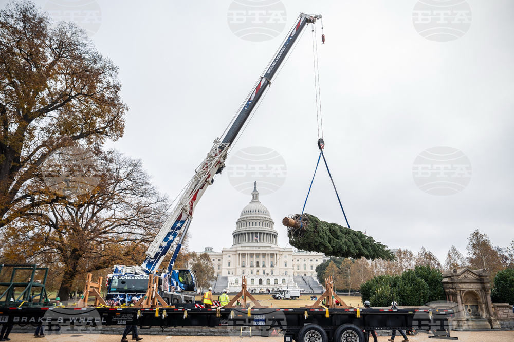 Capitol Christmas Tree