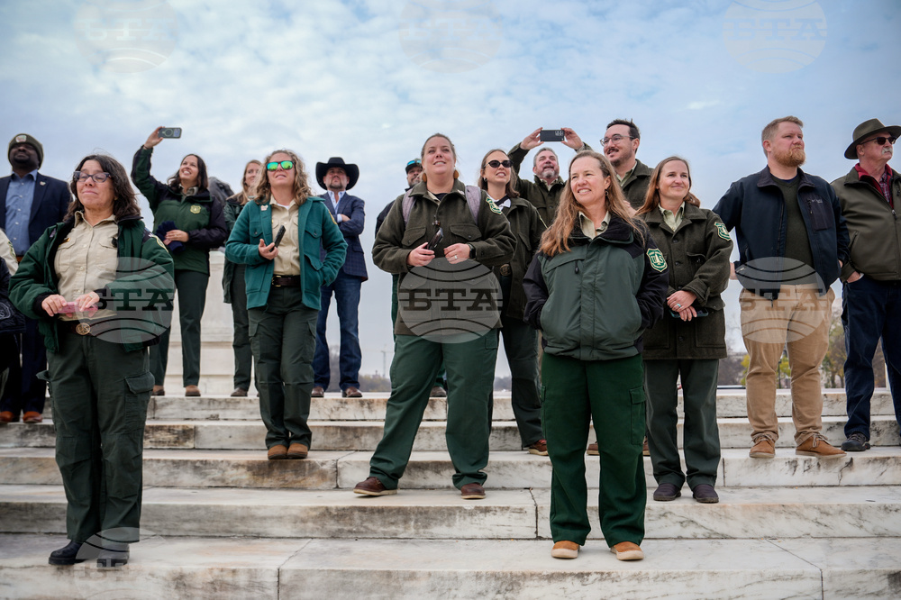 Capitol Christmas Tree