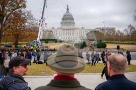 Capitol Christmas Tree