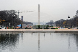 Capitol Christmas Tree