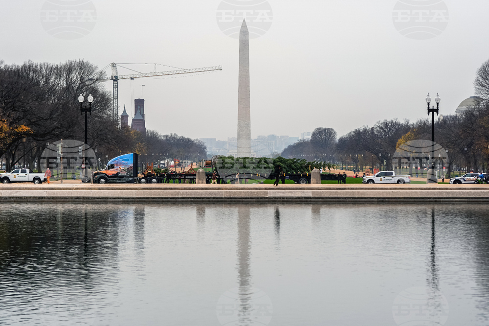 Capitol Christmas Tree