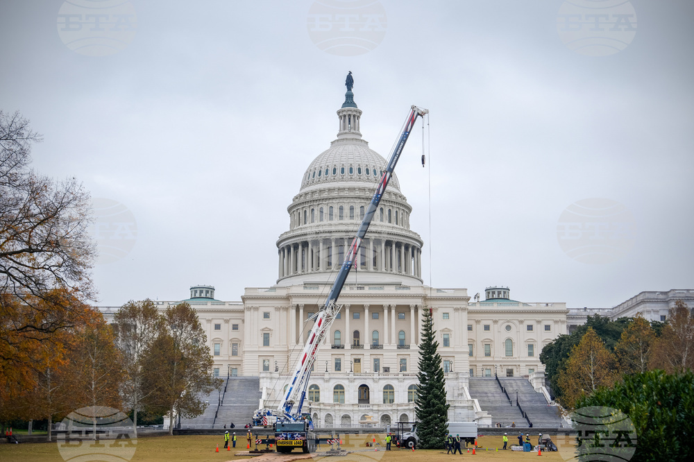 Capitol Christmas Tree