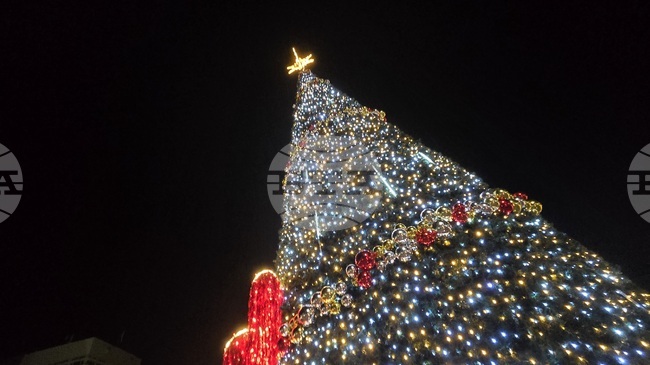 Хиляди светлини на коледната елха в София ще грейнат на 2 декември
