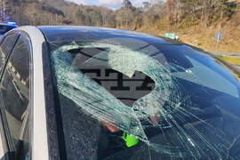 Smashed Windshield-Cat Carcass
