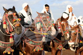 Libya Equestrian Festival