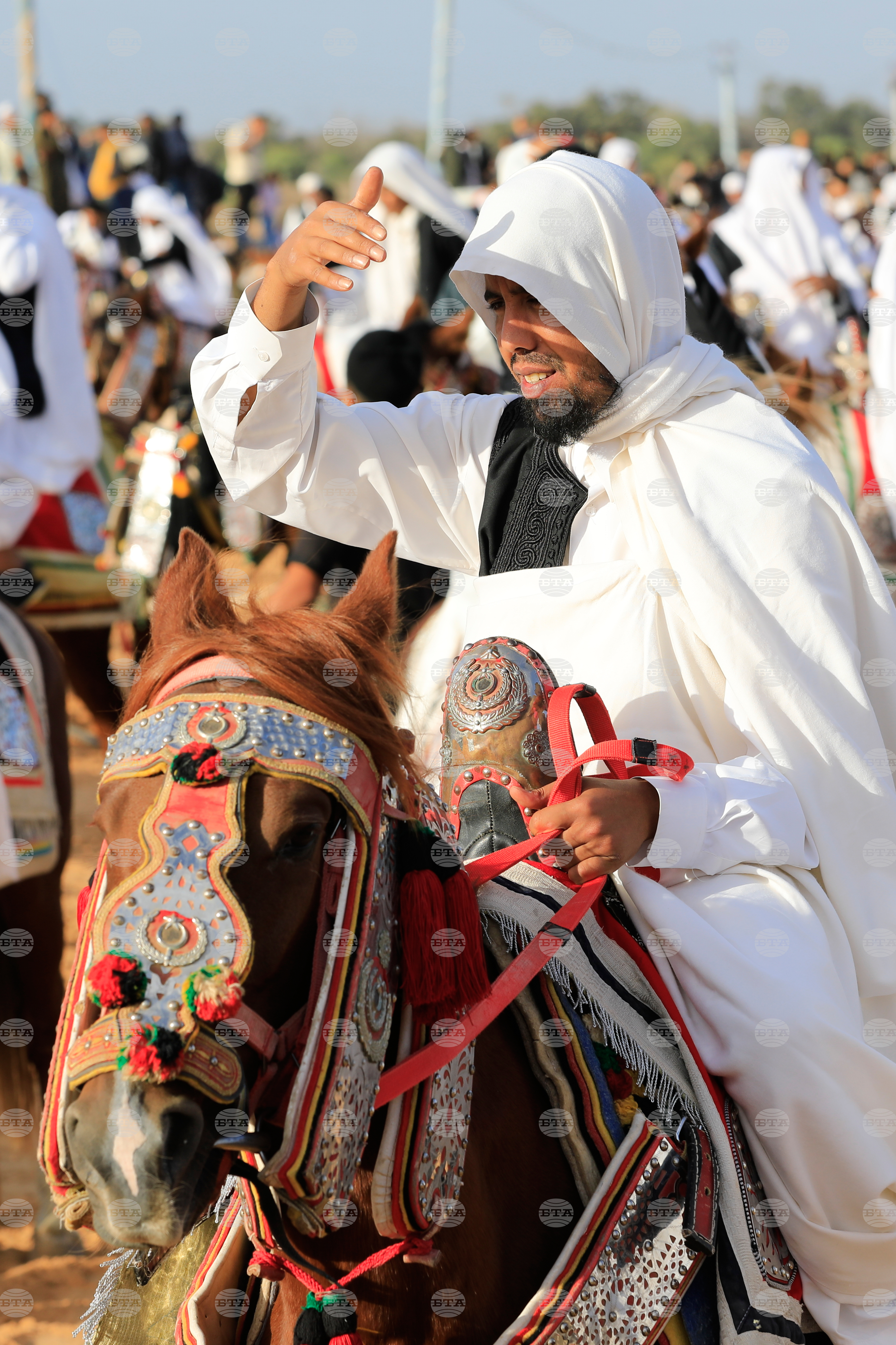 Libya Equestrian Festival