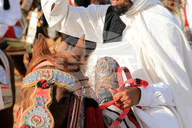 Libya Equestrian Festival
