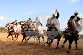 Libya Equestrian Festival