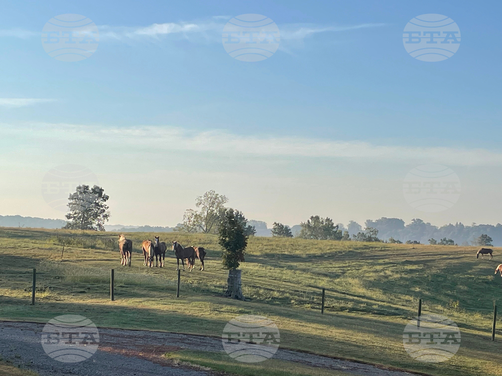 Ohio Rising Water Demand