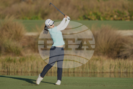 LPGA Tour Championship Golf