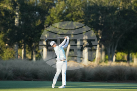 LPGA Tour Championship Golf