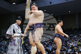 Japan Sumo Takaichi Explainer