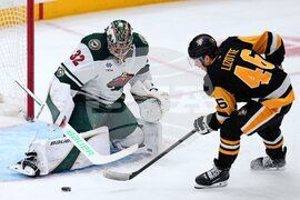 Wild Penguins Hockey