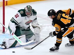 Wild Penguins Hockey