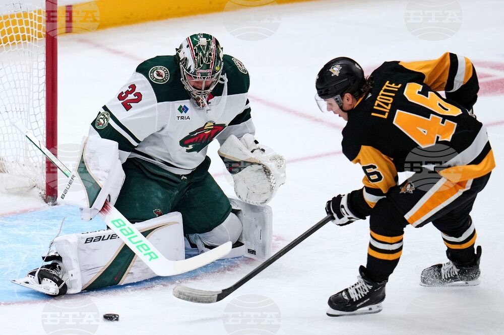 Wild Penguins Hockey