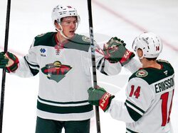 Wild Penguins Hockey