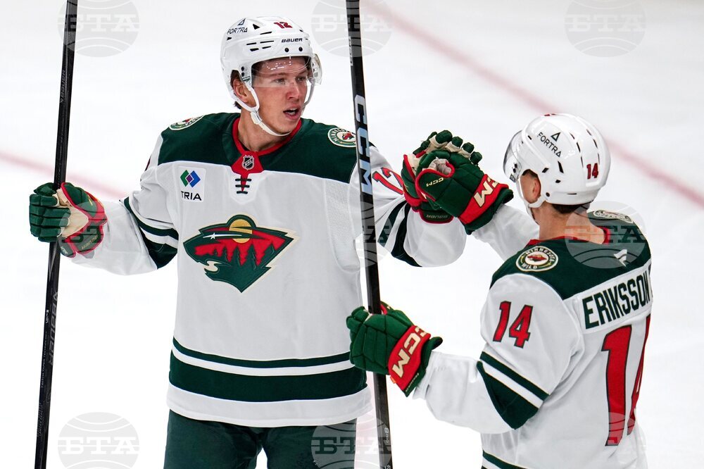 Wild Penguins Hockey