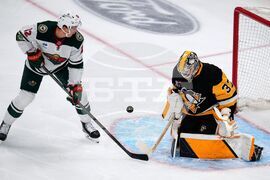 Wild Penguins Hockey