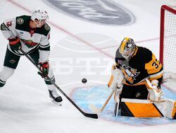 Wild Penguins Hockey