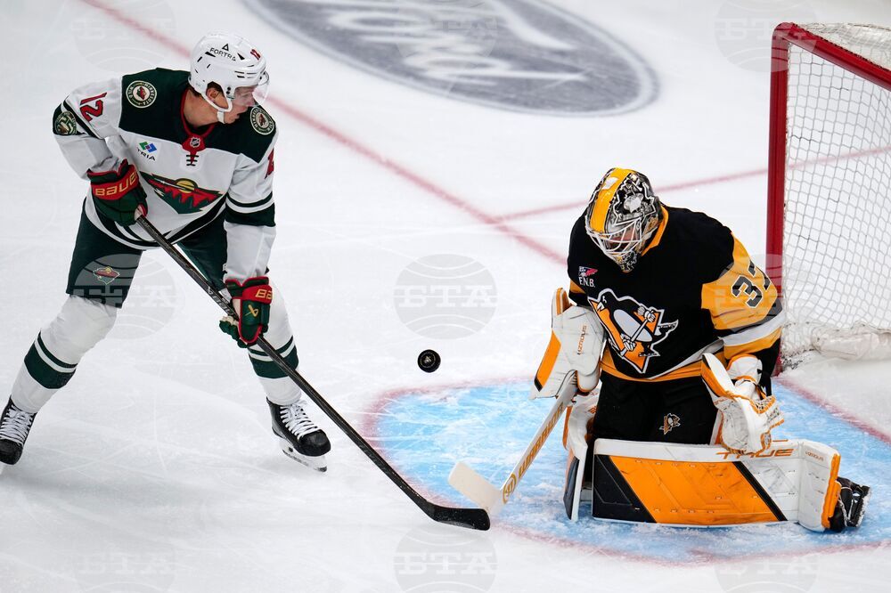 Wild Penguins Hockey