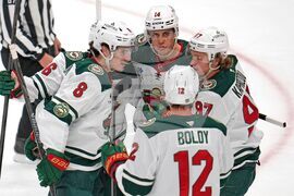 Wild Penguins Hockey