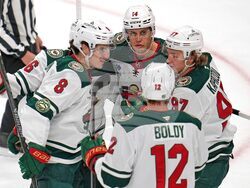 Wild Penguins Hockey