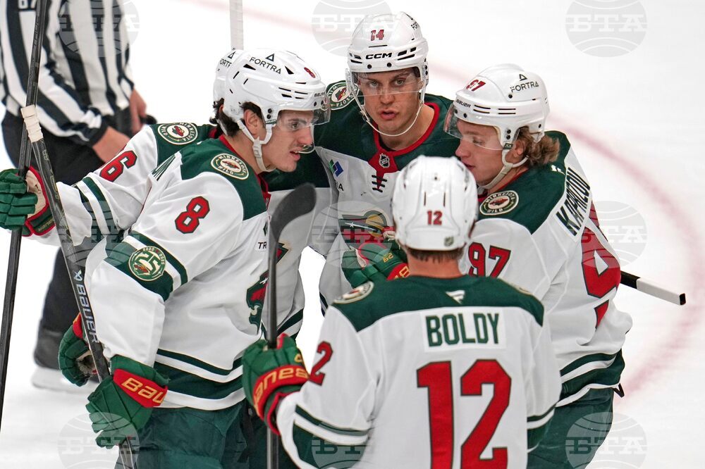 Wild Penguins Hockey