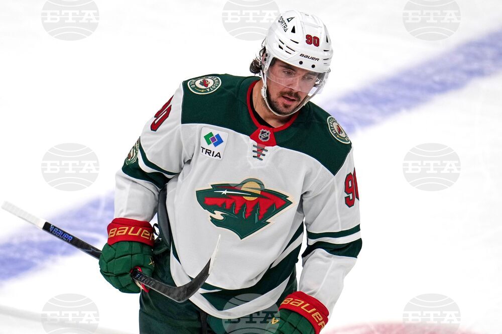 Wild Penguins Hockey