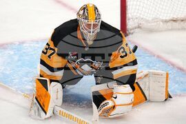 Wild Penguins Hockey