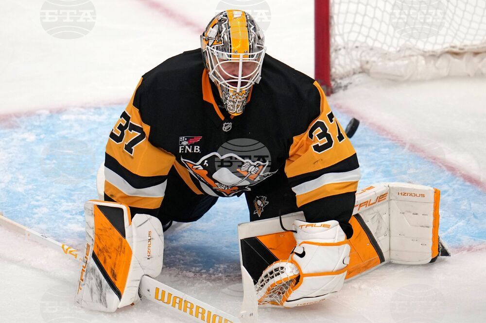 Wild Penguins Hockey