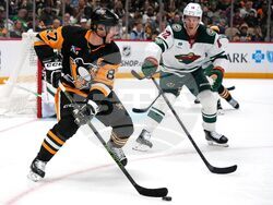 Wild Penguins Hockey