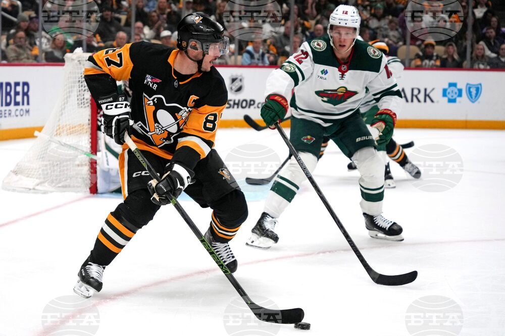 Wild Penguins Hockey