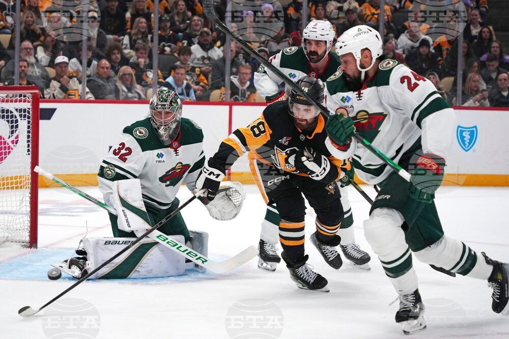 Wild Penguins Hockey