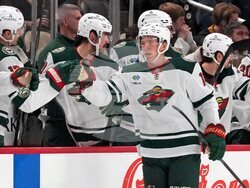 Wild Penguins Hockey