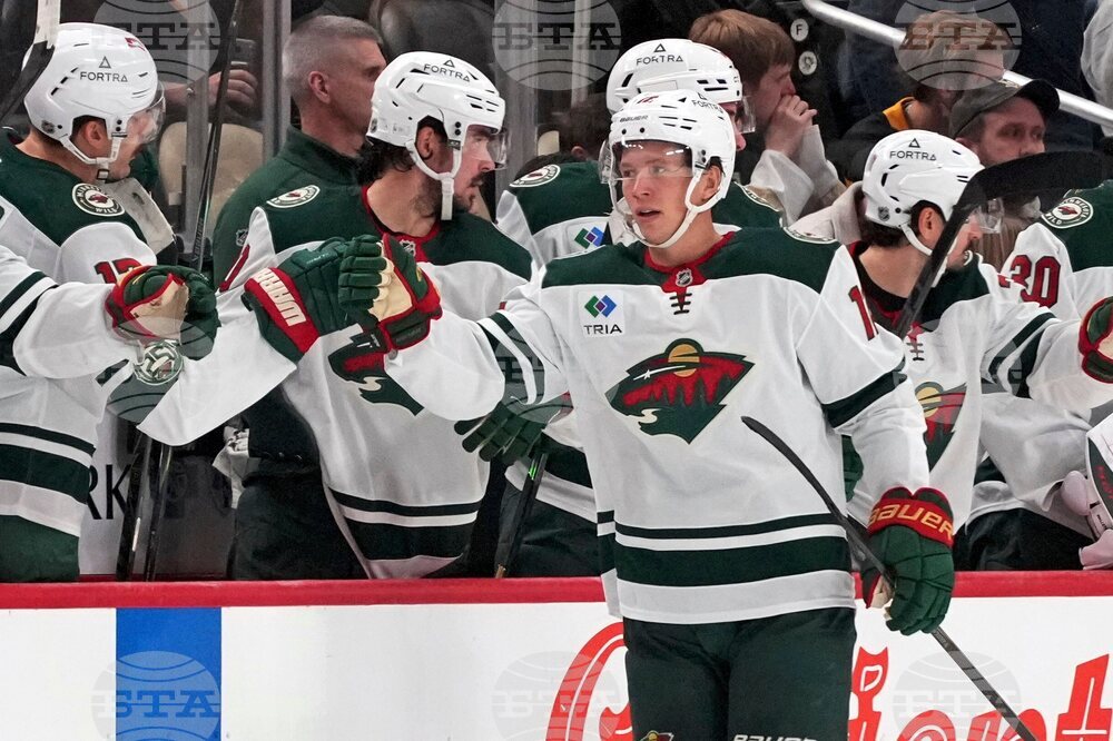 Wild Penguins Hockey