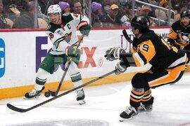 Wild Penguins Hockey