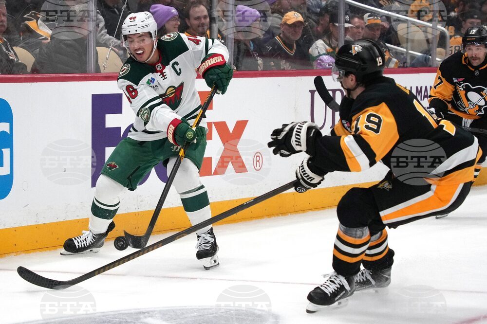 Wild Penguins Hockey