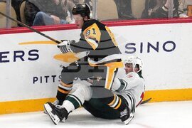 Wild Penguins Hockey