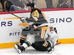 Wild Penguins Hockey