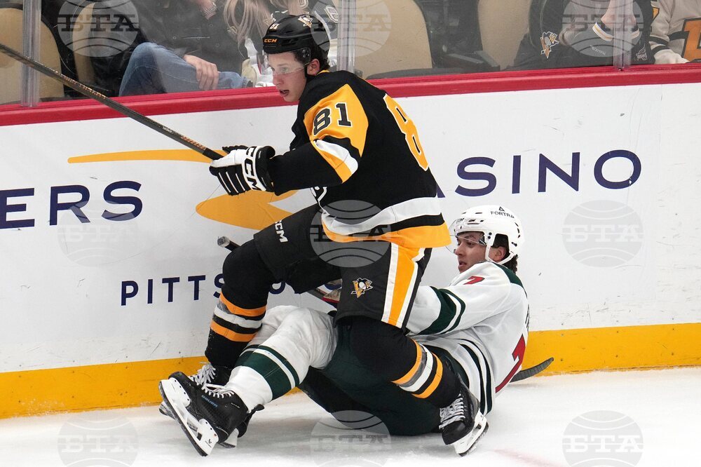 Wild Penguins Hockey