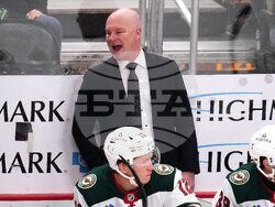 Wild Penguins Hockey