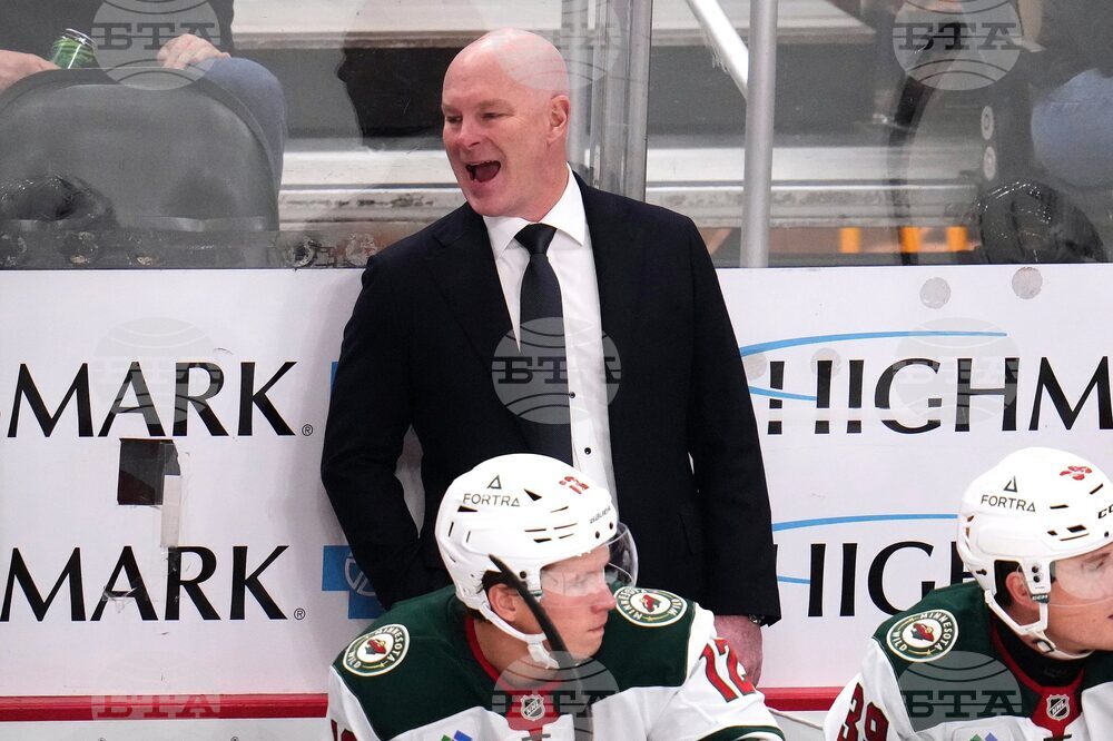 Wild Penguins Hockey