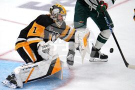 Wild Penguins Hockey