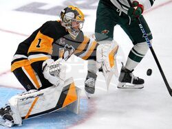 Wild Penguins Hockey