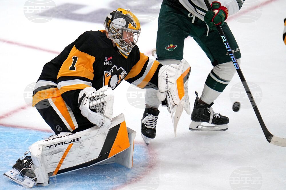 Wild Penguins Hockey