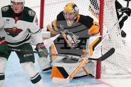 Wild Penguins Hockey